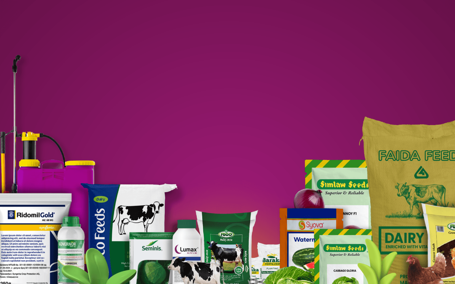 Apollo Agriculture — Farm Inputs, Loans & Insurance for Farmers | Business Listings Kenya 13 Apollo CHAGUA May June