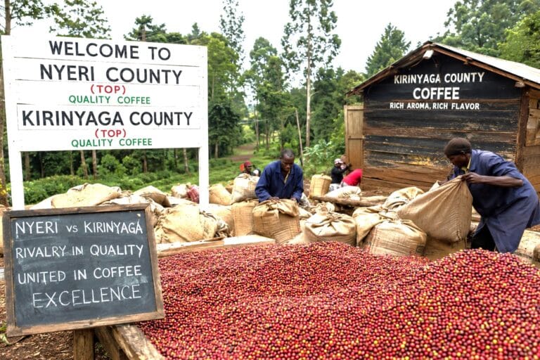 Nyeri Kirinyaga coffee 512