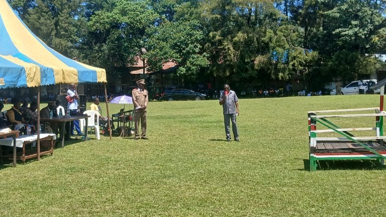 Vihiga Farmers Get a Shot at Coffee Farming With 17,000 Free Seedlings on Offer 14