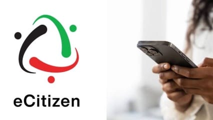 ecitizen