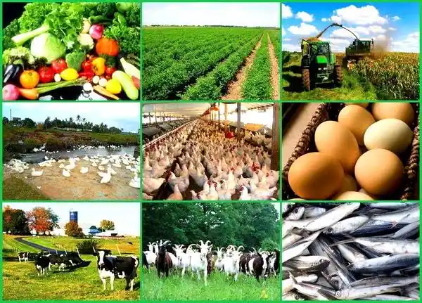 profitable agribusiness ideas 2026