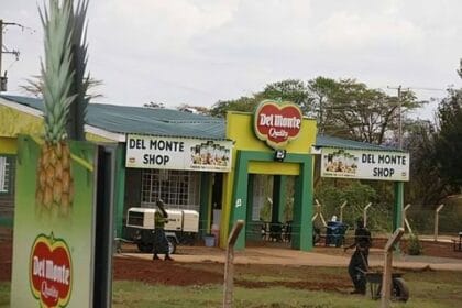 DEL MONTE kenya