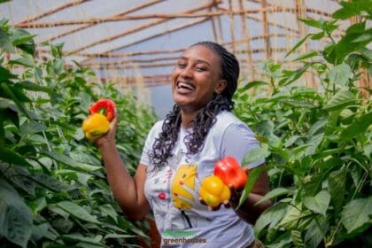 agribusiness