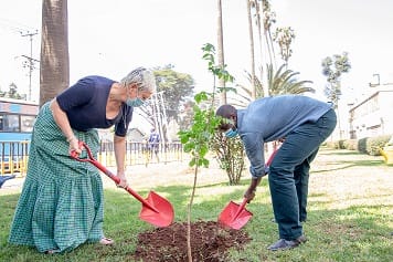 British American Tobacco Kenya (BAT Kenya) — Corporate Profile, Industrial Area 15 BAT Kenya Green Leaf Threshing Plant Thika