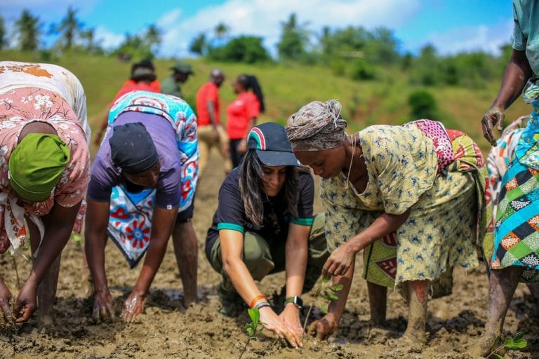 DTB's mangrove restoration initiative with community members in Kwale County