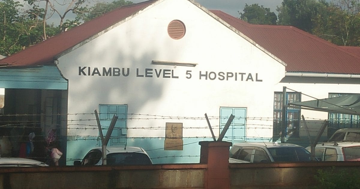 kimabu level 5