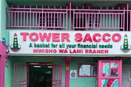 tower sacco2
