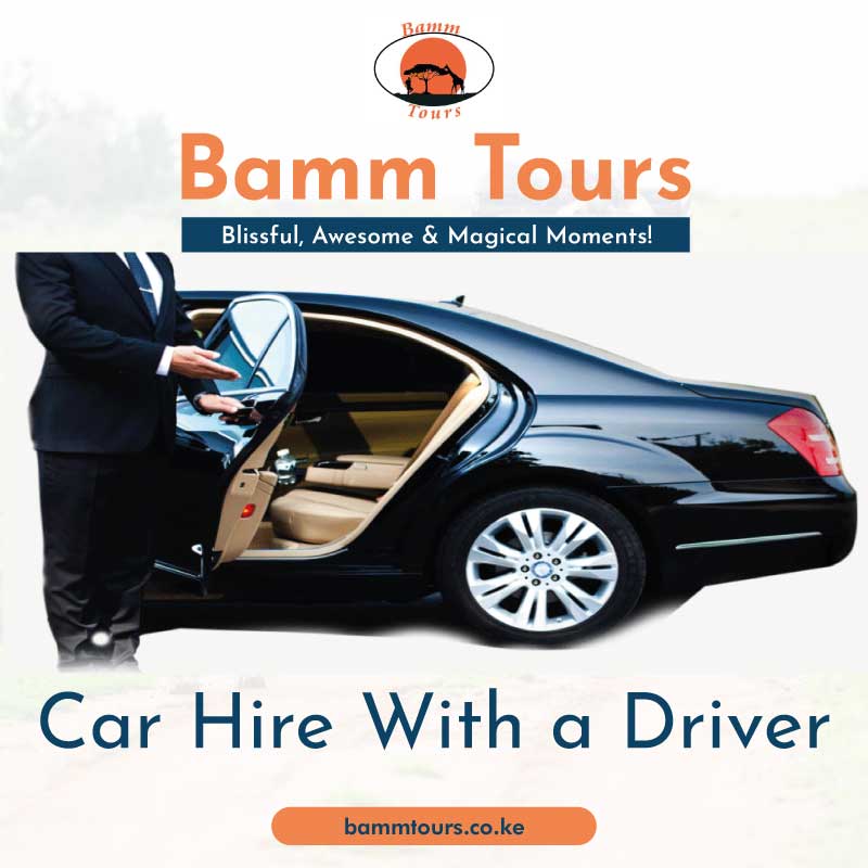 Bamm car hire services 