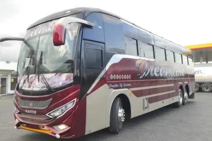 dreambus