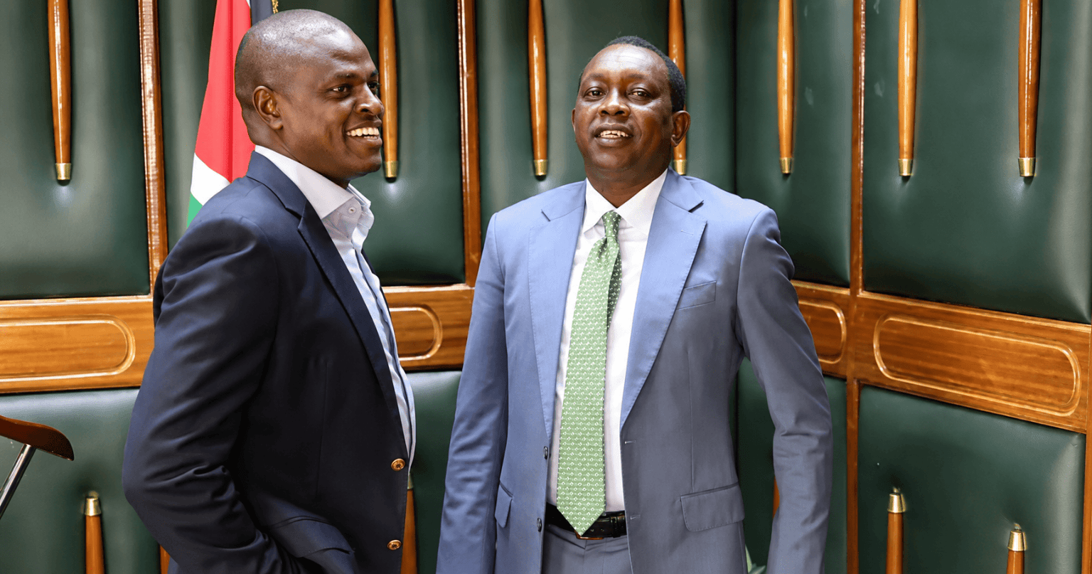10 Richest Kenyan MPs 2026: Net Worth Ranked 13 nyoro and sudi